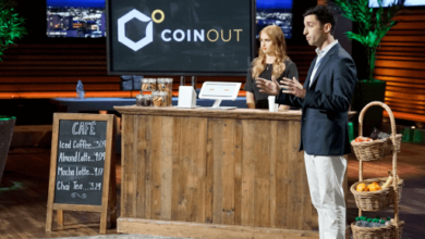 Coinout Net Worth