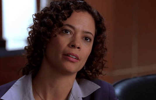 Erica Gimpel Net Worth