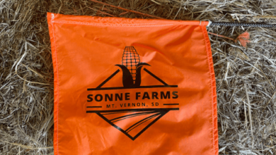 Sonne Farms Net Worth
