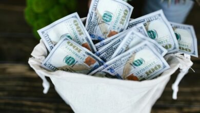 bryce adams financial success