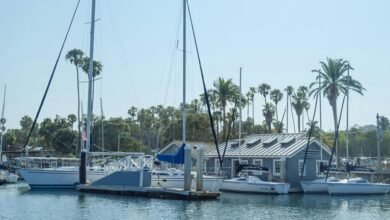 kristy sarah s financial status